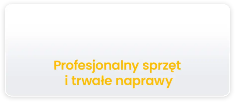 profesjonalny tekst1 295x68 2