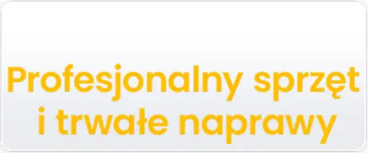 profesjonalny tekst1 mobilny